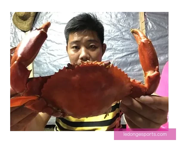 畅玩世界杯竞猜APP，预测赛事结果赢丰厚奖品，立即下载体验精彩活动